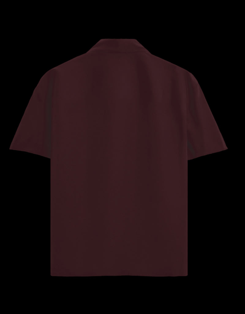 Back_3_c_25.jpg